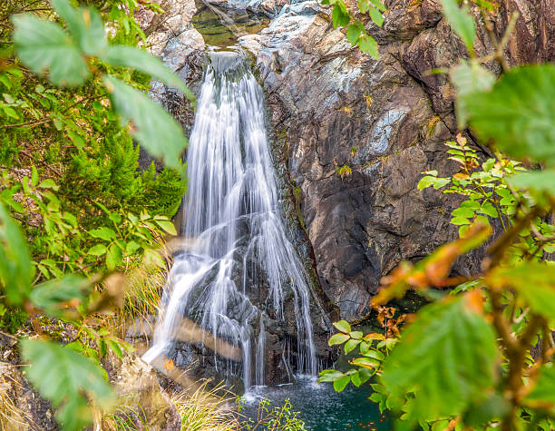istock Beautiful waterfall appears among the branches of the forest 626005270