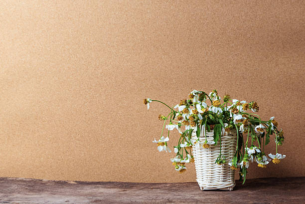 flores blancas en cesta sobre mesa de madera - withered flower fotografías e imágenes de stock