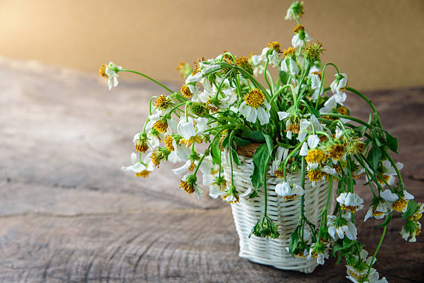 istock white flowers in basket on wooden table 626006512