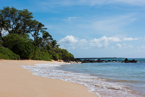 istock Beautiful Makena Beach, Maui, Hawaii 626006752