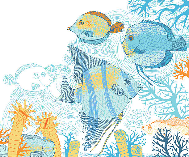 ilustrações de stock, clip art, desenhos animados e ícones de fish and corals vector illustration - animals and pets isolated objects sea life