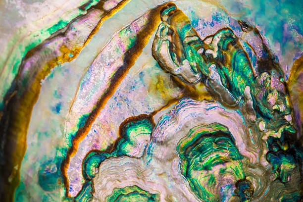 istock Colorful surface of a rock 626007852