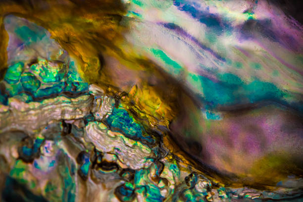 istock Abstract colors of a surface 626007942