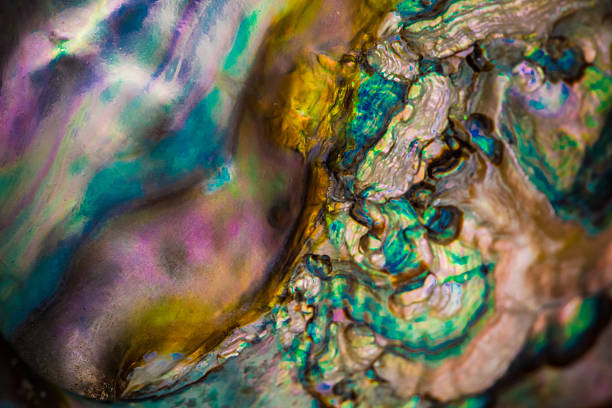 istock Colorful surface of a rock 626008020