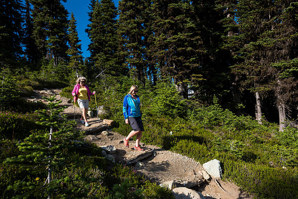 istock Enjoying a healthy and active retirement 626010044