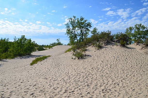 Sand dunes Sand dunes in Sandbanks, Ontario sandbanks ontario stock pictures, royalty-free photos & images