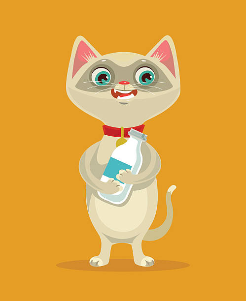Happy cat character hold milk bottle Happy cat character hold milk bottle. Vector flat cartoon illustration cat muzzle meowing cartoon stock illustrations