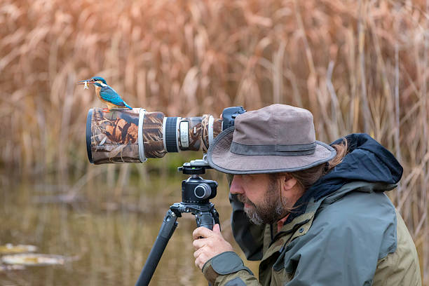 clumsy nature photographer dont find the kingfisher on the lens - nature photographer imagens e fotografias de stock