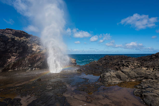 istock Nakalele Blowhole, Maui, USA 626056438