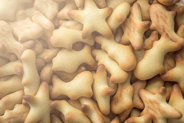istock Cracker in the Jar. Sweet cracker made in various animal shapes. 626060632