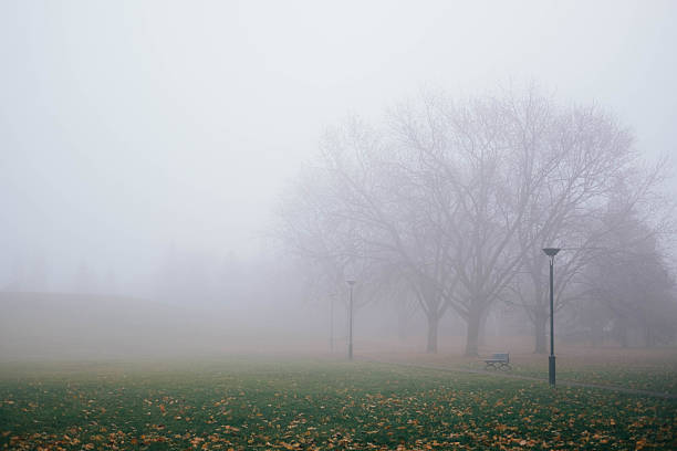 istock Park during the fog 626068606