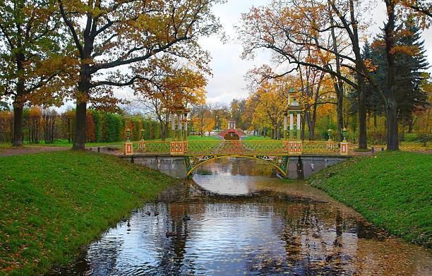 istock Chinese bridge in Tsarskoye Selo 626069640