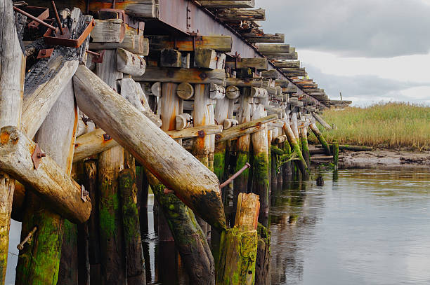 istock Crossing wooden log bridge nature background 626073420