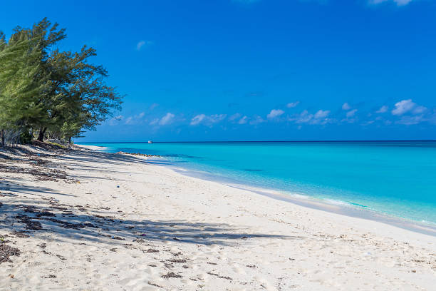 istock Paradise Beach in Bahamas 626075116
