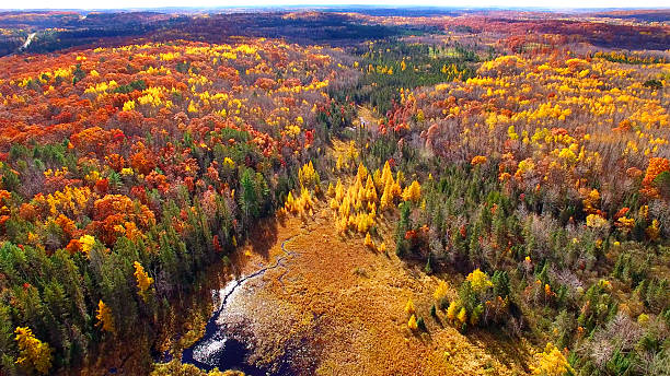 incroyable paysage aérien d’automne sur la péninsule supérieure du michigan. - autumn glory photos et images de collection