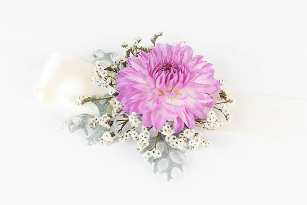 istock Dahlia wrist corsage isolated on white background 626076642