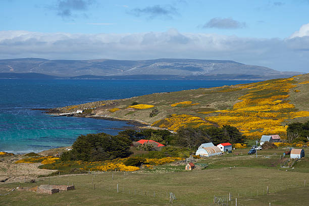 asentamiento de la isla carcass - islas malvinas fotografías e imágenes de stock