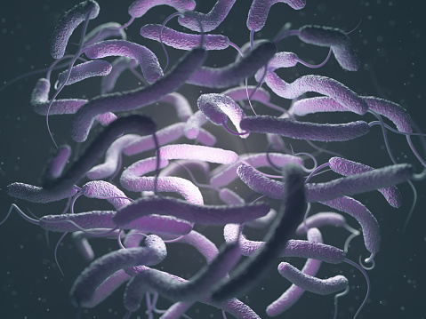 Vibrio cholerae, Gram-negative bacteria. 3D illustration of bacteria with flagella.