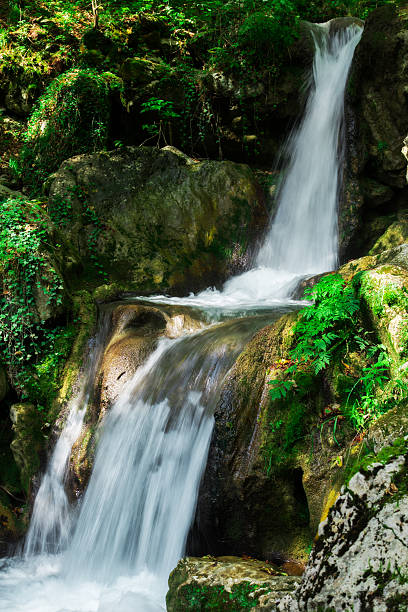 istock Clear waterfall in green forest, beautiful nature landscape 626095520