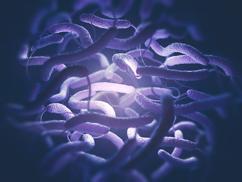 Vibrio cholerae, Gram-negative bacteria. 3D illustration of bacteria with flagella.