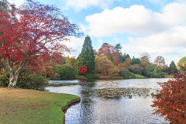 istock Sheffield Park lake and gardens in Autumn 626096862