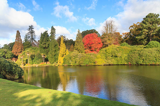 istock Sheffield Park lake and gardens in Autumn 626097244