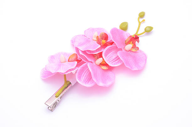 Flower Hair Clip Stock Photos, Pictures & Royalty-Free Images - iStock Flower Hair Clip Stock Photos, Pictures & Royalty-Free Images - iStock