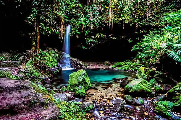 Emerald pool Morne Trois Pitons National Park located in Dominica.