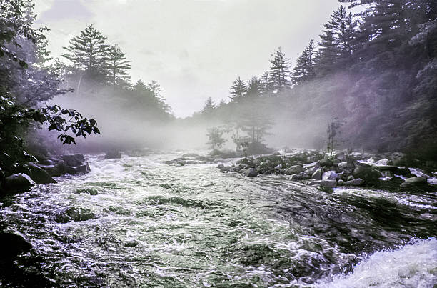 rio swift em autumn white mountains, new hampshire - rapid appalachian mountains autumn water - fotografias e filmes do acervo