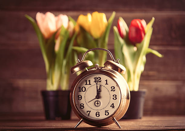 istock bunches of tulips and clock on the table 626121266