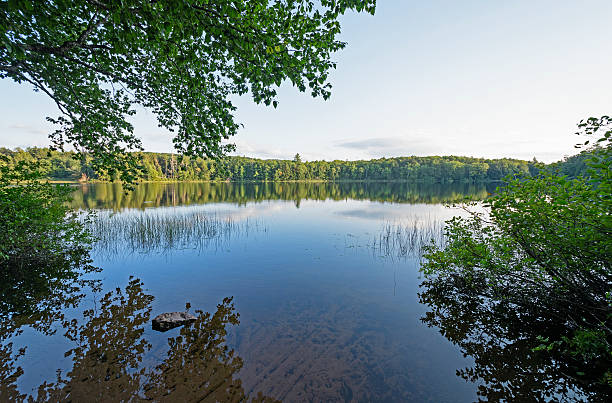 istock Late Afternoon on a Wilderness lake 626122624