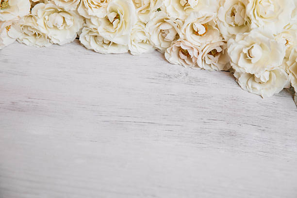 istock Soft white roses framing wooden background 626132988