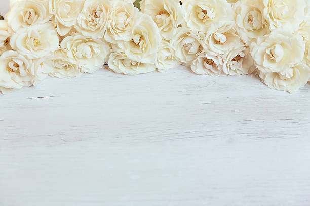 istock Soft white roses framing wooden background 626133000