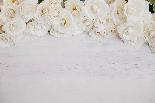 istock Soft cream roses framing wooden background 626133006