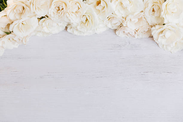 istock Soft off white roses framing wooden background 626133012