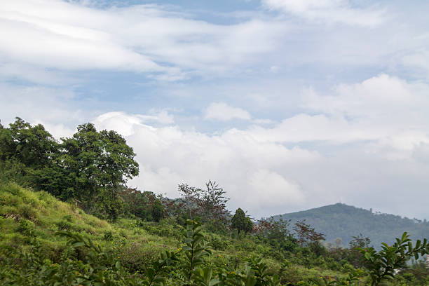 istock Landscape with plantations in Highlands, central of java 626136160
