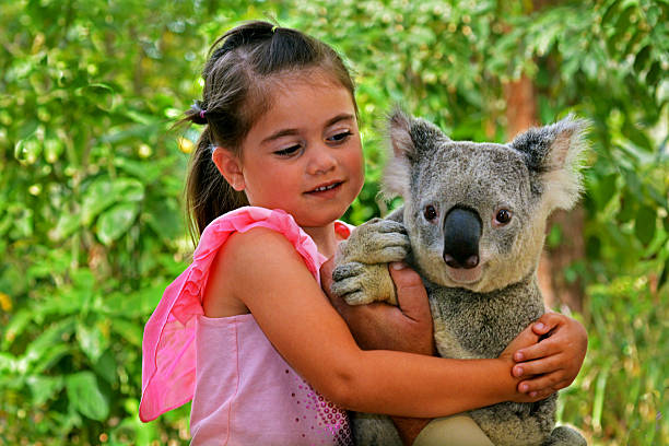 istock Little girl holding a Koala 626144430