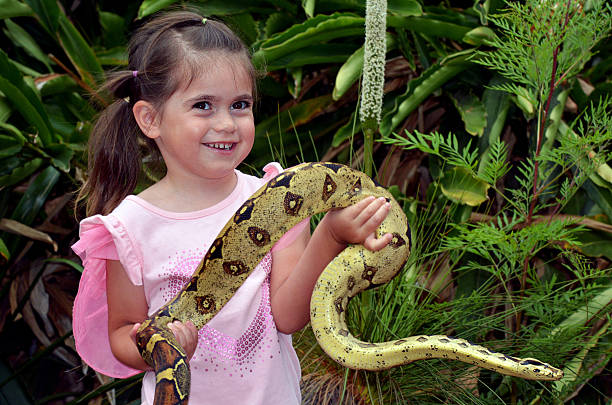 500+ Childrens Python Stock Photos, Pictures & Royalty-Free Images - iStock