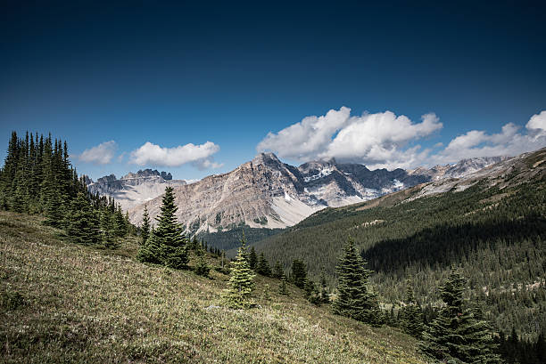 istock Scenic summer in the  mountains 626151982