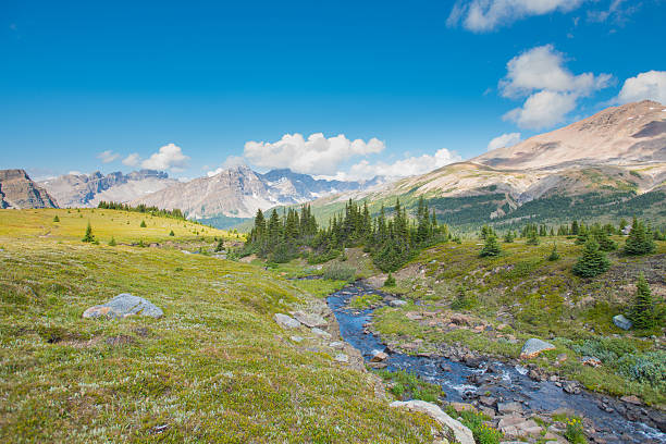 istock Scenic summer in the  mountains 626153368