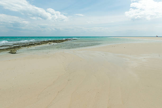 istock sandy beach and clear transparent sea wave 626153702