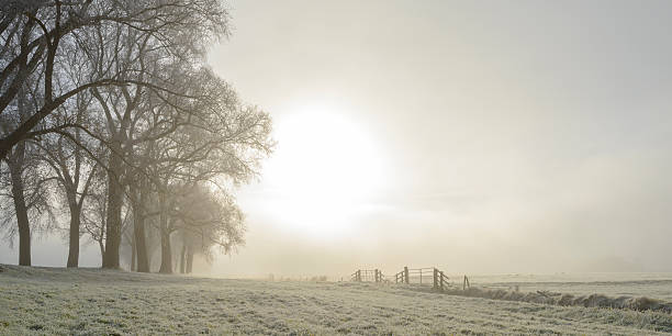 istock Frosty winter landscape during an early misty morning 626154598