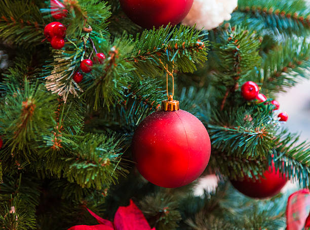 Christmas decorations on the branches of fir tree stock photo