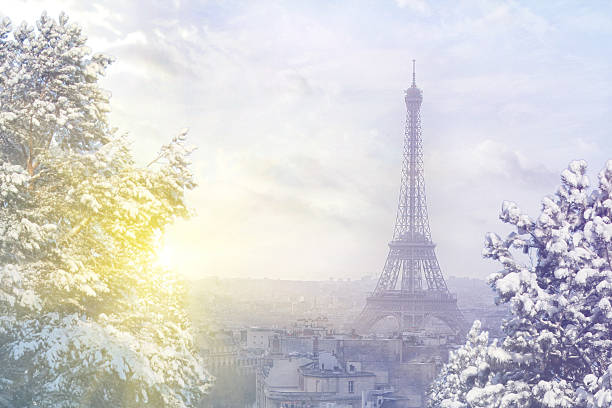 Aerial View Of Paris Cityscape With Eiffel Tower At Winter Stock Photo -  Download Image Now - iStock