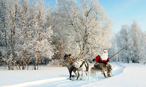 istock Santa Claus and his reindeer in forest 626156962