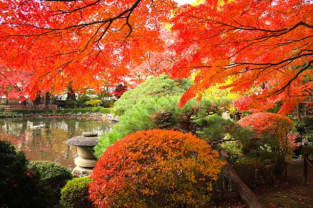 istock Autumn Leaves in Yamagata Japan 626157642