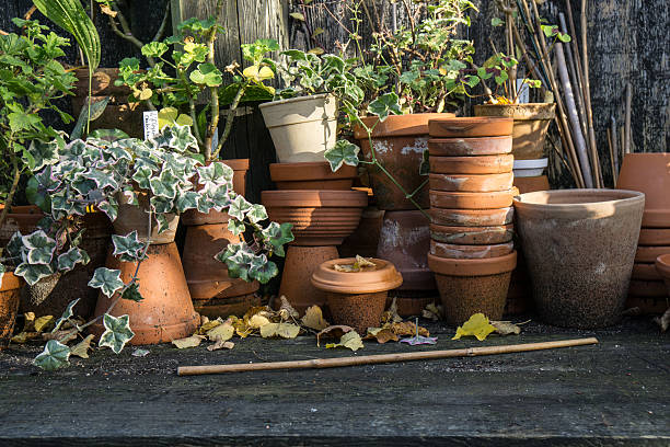 istock romantic idyllic plant table in the garden 626157730