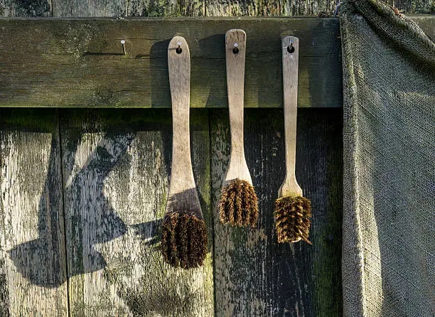 Old retro brushes hang decoratively on wooden wall outside in sun light