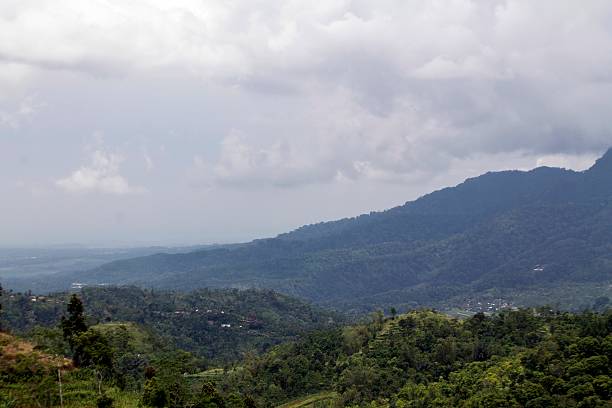 istock Landscape with  plantations in Highlands, central of java. 626159330