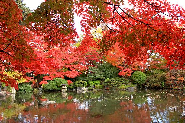 istock Autumn Leaves in Yamagata Japan 626159414